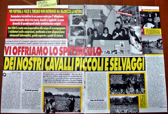 SARDEGNA2007cavallinidellagiara1